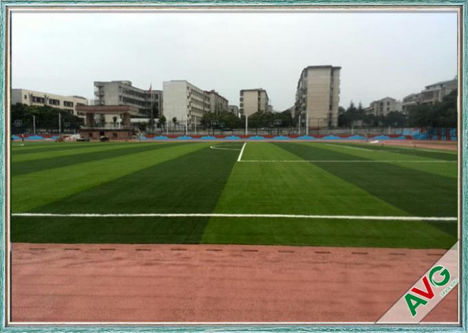 50 SGS del milímetro aprobaron la hierba artificial del campo de fútbol/el césped sintético para el campo de fútbol 0