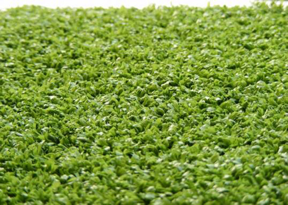 CHINA La hierba falsa decorativa del hockey del hilado del monofilamento PE alfombra la puntada 6600 Dtex de 220 s/m proveedor