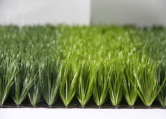CHINA Anchura céspedes falsos de la hierba de los 2M/de los 4M Sports Artificial Turf para la decoración al aire libre proveedor