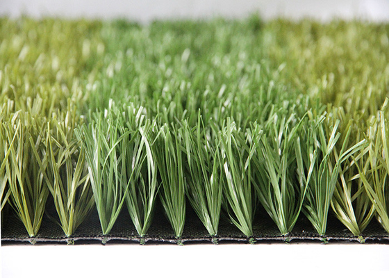 CHINA Certificación sintética del CE del SGS del césped de la hierba artificial ambiental Anti-ULTRAVIOLETA de los deportes de AVG proveedor