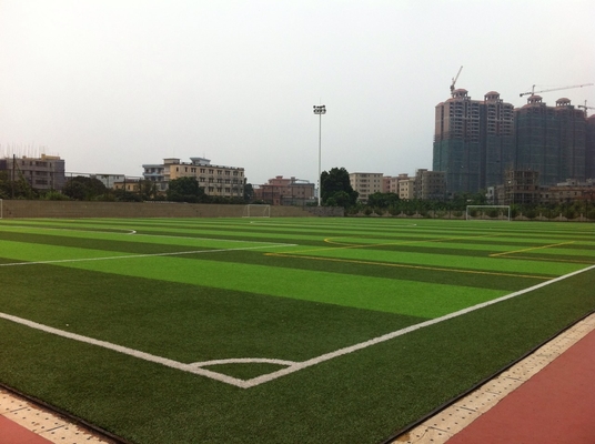 CHINA Hierba sintética del patio verde del fútbol, hierba falsa del patio para el exterior proveedor