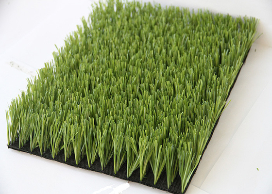 CHINA El material artificial la FIFA de la hierba PE PP del fútbol del verde del alto 60m m de la pila probó proveedor