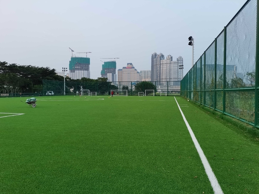 CHINA Precio artificial de Futsal Gazon Synthetique de la hierba del césped del fútbol del fútbol de AVG 60m m para la venta al por mayor proveedor