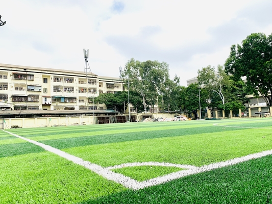 CHINA hierba de alfombra sintética de la hierba de 65m m Cesped del fútbol del césped de Synthet del fútbol artificial del césped proveedor