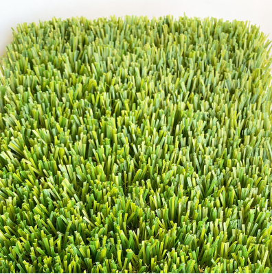 CHINA Hierba artificial del jardín amarillo verde claro de la fetuca con la capa del látex de SBR proveedor