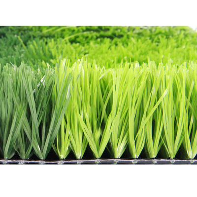 CHINA La hierba alfombra la calidad artificial de la FIFA del fútbol de la hierba del fútbol 60M M proveedor
