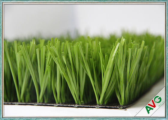 CHINA El SGS aprobó la alfombra sintética de la hierba de la hierba artificial del fútbol del campo de fútbol proveedor
