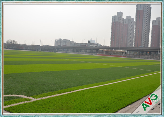 CHINA Alfombra artificial de alta densidad de la hierba del campo de fútbol interior/al aire libre del fútbol proveedor