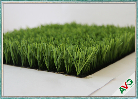 CHINA Durabilidad artificial de la hierba del fútbol de 14500 deportes de DTEX con 8 años de garantía proveedor
