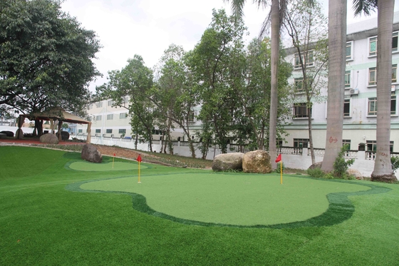 CHINA Los PP + esquilan césped artificial del jardín con color brillante 5 años de garantía proveedor