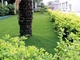 Altura reciclable verde de la hierba artificial 40m m de la salud del hotel que ajardina proveedor