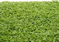 La hierba falsa decorativa del hockey del hilado del monofilamento PE alfombra la puntada 6600 Dtex de 220 s/m proveedor