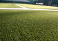 La hierba falsa decorativa del hockey del hilado del monofilamento PE alfombra la puntada 6600 Dtex de 220 s/m proveedor