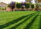 La hierba falsa al aire libre del alto fútbol de la elasticidad alfombra altura de la pila de 20M M - de 45M M proveedor