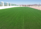 Altura sintética del césped 35M M de la hierba artificial interior de encargo profesional proveedor