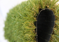 Los niños de la encripción acarician el césped artificial amistoso de la hierba, hierba sintética del animal doméstico proveedor