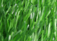 Favorable al medio ambiente Anti-ULTRAVIOLETA de las esteras artificiales de la hierba del metal que ajardina libre proveedor
