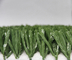 Césped artificial del fútbol del verde del alto grado de AVG, alfombra sintética de la hierba del fútbol proveedor