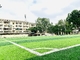 hierba de alfombra sintética de la hierba de 65m m Cesped del fútbol del césped de Synthet del fútbol artificial del césped proveedor