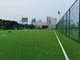 Deportes artificiales de la hierba del fútbol profesional que suelan para el fútbol proveedor