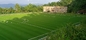 Césped artificial de la hierba de la hierba del fútbol para el campo de fútbol 40m m 50m m 60m m proveedor
