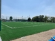 Césped sintético del césped del fútbol de la hierba de la FIFA para la altura de la pila del fútbol 50m m proveedor