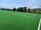 Césped sintético de AVG para el césped artificial de la hierba de la firmeza del tiempo de la hierba del fútbol proveedor