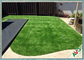 Alto verde artificial al aire libre del campo de hierba de la resistencia de desgaste/color verde proveedor