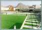8000 hierbas artificiales al aire libre decorativas de Dtex/hierba sintética con la capa del látex proveedor