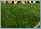 Césped artificial del animal doméstico sintético interior, verde del campo de hierba de alfombra/verde al aire libre proveedor