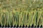El FÚTBOL del FÚTBOL se chiba la hierba artificial la FIFA de 60m m certificada proveedor