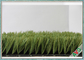 Verde artificial del campo de hierba del campo de fútbol + monofilamento verde del PE proveedor