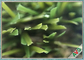 Hierba artificial al aire libre hermosa lisa/hierba sintética para el anuncio publicitario proveedor