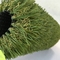 4 plásticos Tone Natural Landscaping Artificial Grass para la decoración del jardín proveedor