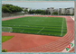 Césped artificial del fútbol natural del aspecto/alfombra sintética de la hierba para el fútbol proveedor