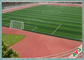 Césped artificial del fútbol natural del aspecto/alfombra sintética de la hierba para el fútbol proveedor
