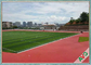 ULTRAVIOLETA - Mini Football Field natural resistente/hierba artificial del campo de fútbol proveedor