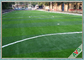 Césped artificial del fútbol de la resistencia de abrasión, hierba sintética para los campos de fútbol proveedor