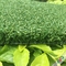 hierba artificial del golf natural de la altura de la pila de 10m m/putting green interior del golf proveedor