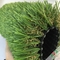 Monofilamento PE + superficie regordeta de la hierba artificial al aire libre rizada de los PP 12400Dtex proveedor