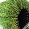 Hierba artificial interior resistente 18700Dtex de la abrasión con doble forro de capa de los PP + de la PU proveedor