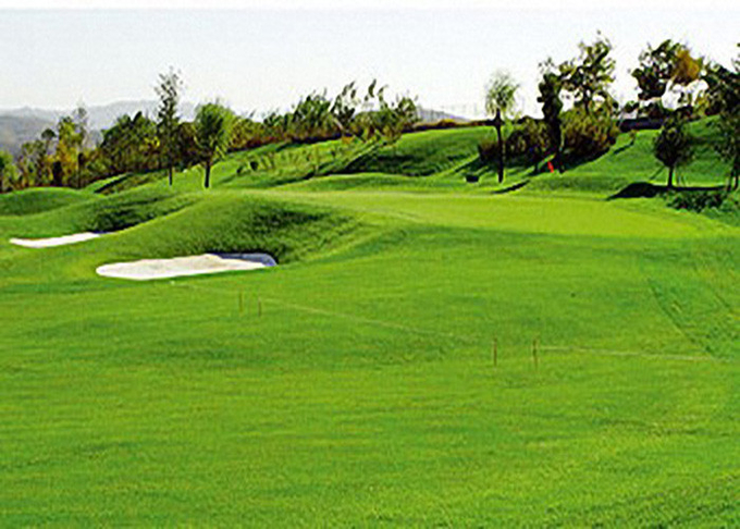 Resistencia de desgaste del césped artificial de la hierba de la falsificación del golf de los deportes profesionales alta 0