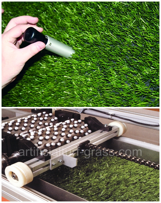 All Victory Grass (Guangzhou) Co., Ltd control de calidad 0