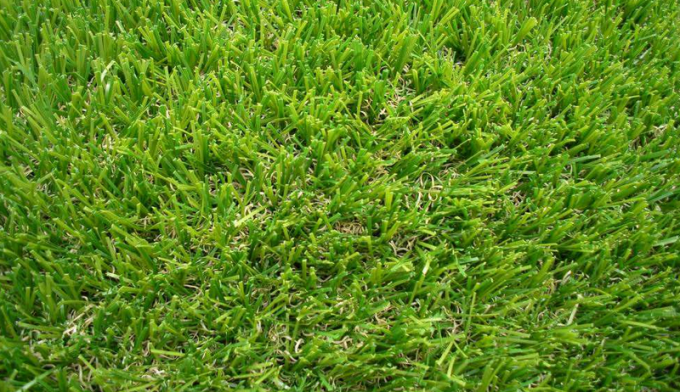 últimas noticias de la compañía sobre Comparación entre la hierba sintética del fútbol y la hierba real  2
