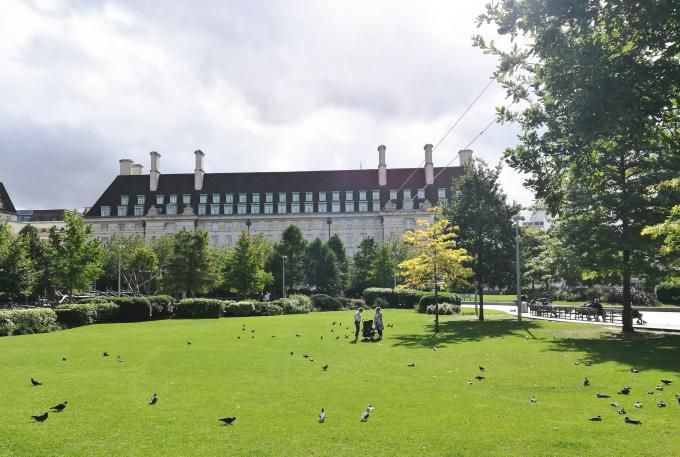 Ajardinando la hierba S forme la hierba artificial 40m m para la hierba del paisaje del jardín 0