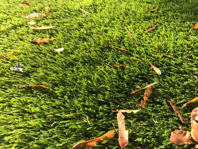 Color natural artificial del rollo 25m m de la hierba de alfombra del jardín 0