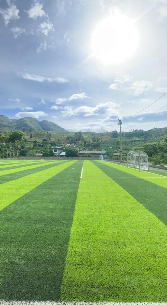 Altura artificial durable del campo de fútbol 50m m de la hierba del fútbol 0