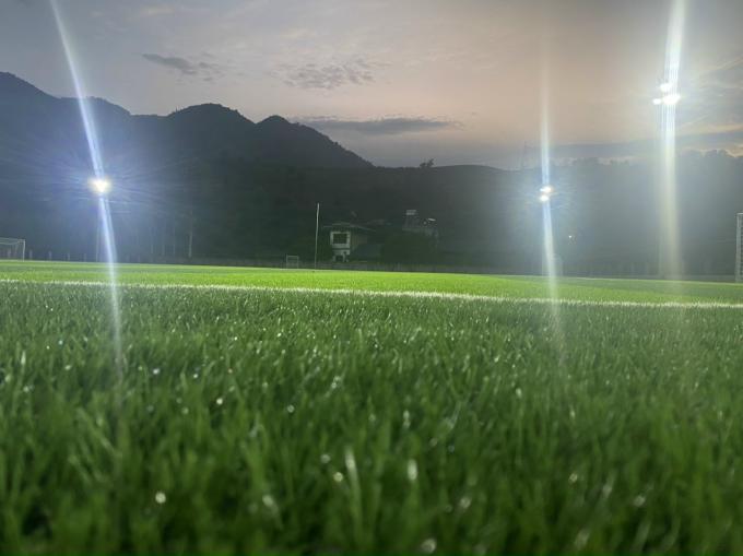 desgaste sintético de la hierba de la hierba de la altura de 55m m del fútbol artificial del césped - resistente 0