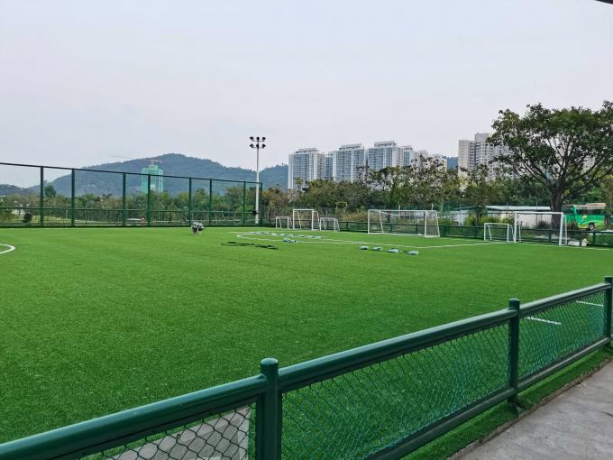 hierba del césped sintético del fútbol de 70m m y suelo artificiales de los deportes 0