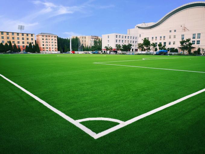 Hierba artificial de la hierba del fútbol para el fútbol de la hierba del fútbol del fútbol 0